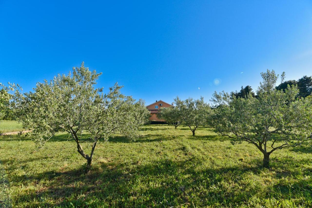 Holiday Home Taras Smilcic Exteriér fotografie