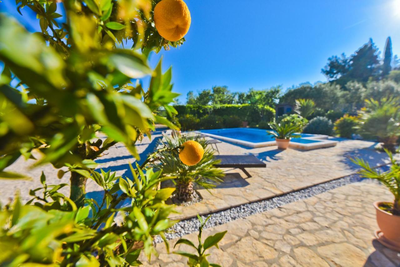 Holiday Home Taras Smilcic Exteriér fotografie